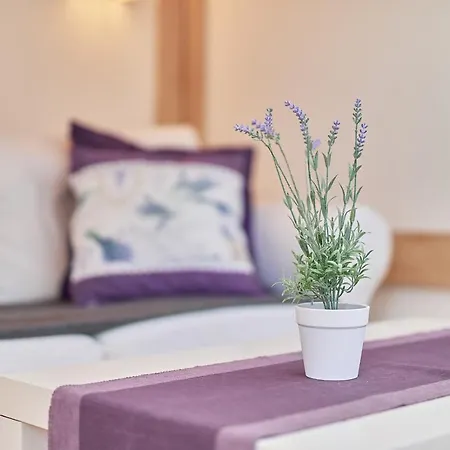 Lägenhet Lavender Center By Renters Wrocław